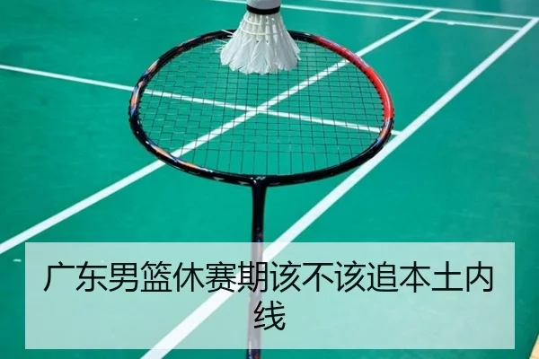 广东男篮休赛期该不该追本土内线